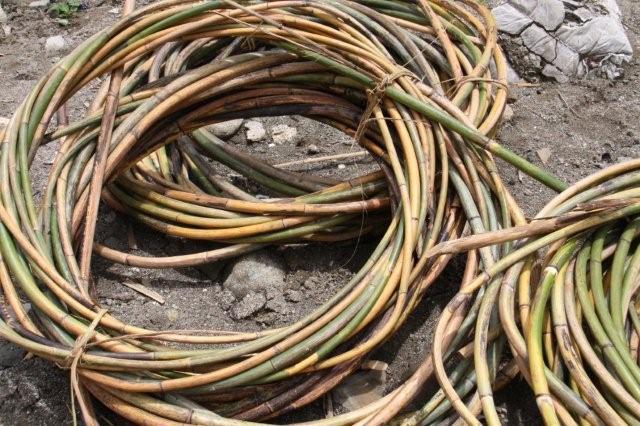 現在は腕木とタディ、フロートを結ぶのにナイロンの太い釣り糸を利用している。私たちは森の中からロタンの蔓をとってきて使った。